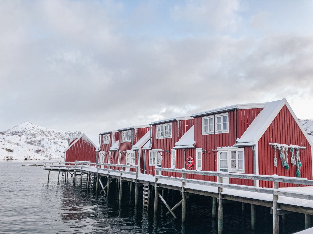 Arctic Frontiers Emerging Leaders Days 3 & 4| January 2020